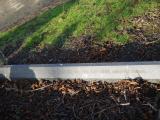 image of grave number 198755